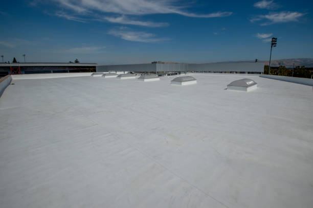 Professional Roofing Services in Thibodaux, LA